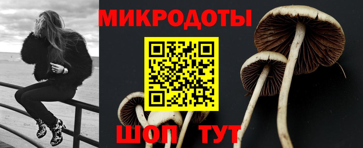 Псилоцибиновые грибы мицелий  Вход с VPN  Галлюциногенные грибы ЛСД  Каменск-Шахтинский 